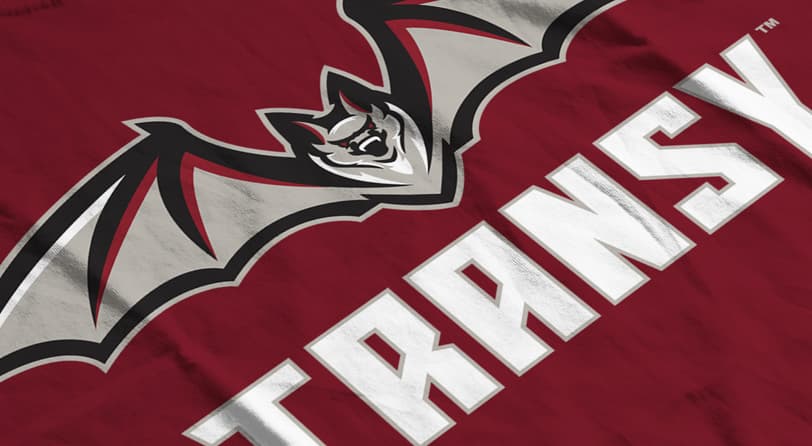 Sports Branding » Transylvania Athletics Brand Identity